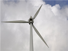 Miscellaneous Product